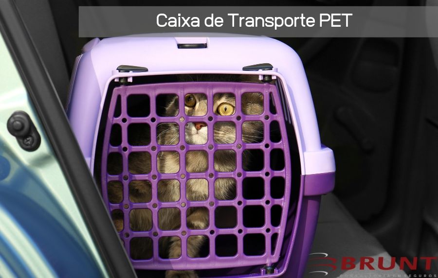 CaixaTransporte - Transporte de Cachorro em Carros - Pode Gerar Multa